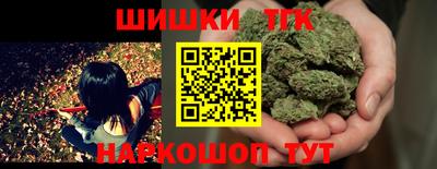 индика Гусиноозёрск