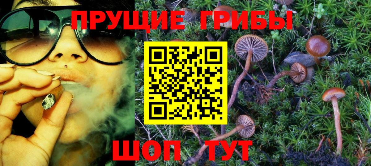 Нижнеудинск  купить   Вход с VPN  Псилоцибиновые грибы ЛСД 