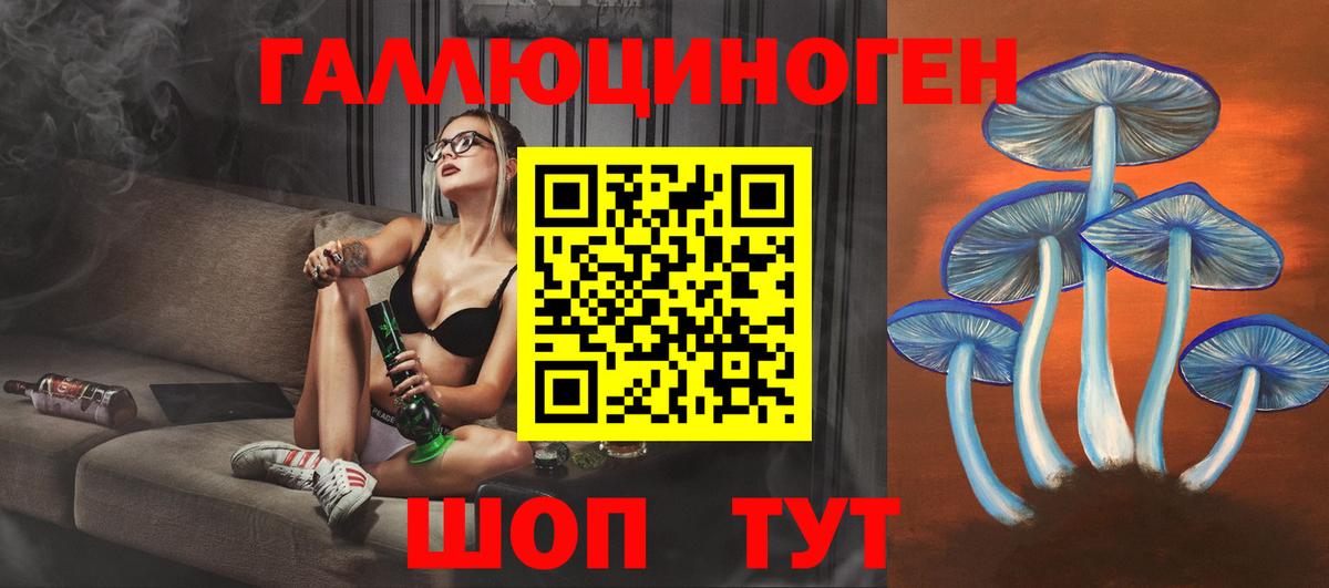 Псилоцибиновые грибы Psilocybine cubensis Нижнеудинск